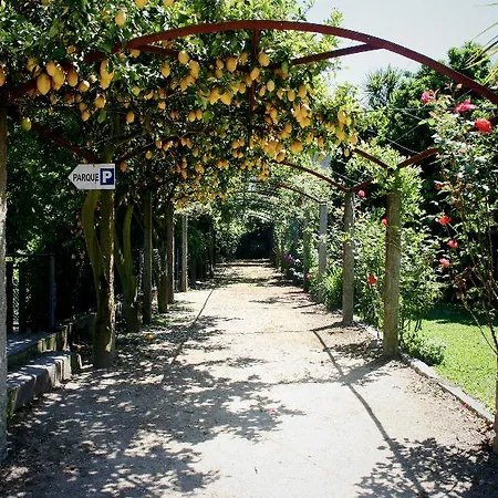 Hotel Quinta De Santa Comba Barcelos