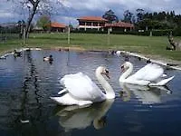Quinta De Santa Comba Hotel